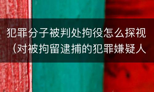 犯罪分子被判处拘役怎么探视（对被拘留逮捕的犯罪嫌疑人）