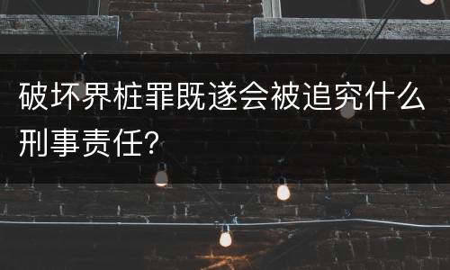 破坏界桩罪既遂会被追究什么刑事责任？