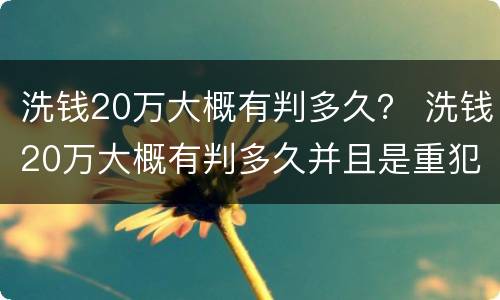 洗钱20万大概有判多久？ 洗钱20万大概有判多久并且是重犯