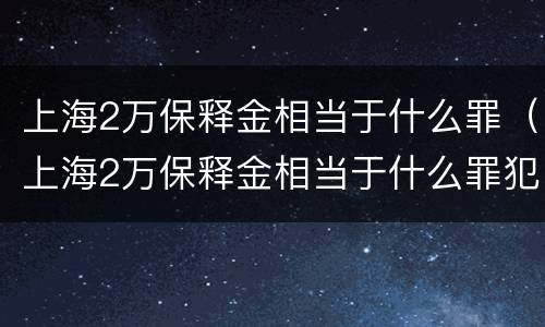 上海2万保释金相当于什么罪（上海2万保释金相当于什么罪犯）