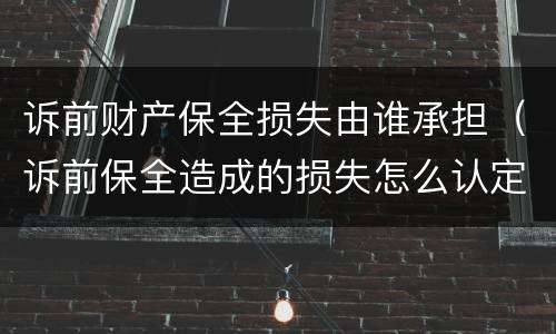 诉前财产保全损失由谁承担（诉前保全造成的损失怎么认定）
