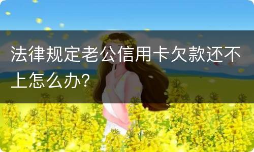 法律规定老公信用卡欠款还不上怎么办？