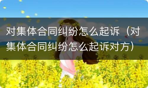 对集体合同纠纷怎么起诉（对集体合同纠纷怎么起诉对方）