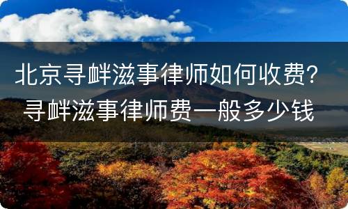 北京寻衅滋事律师如何收费？ 寻衅滋事律师费一般多少钱
