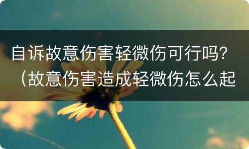 自诉故意伤害轻微伤可行吗？（故意伤害造成轻微伤怎么起诉）
