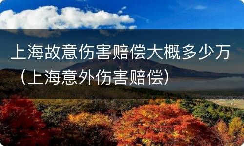 上海故意伤害赔偿大概多少万（上海意外伤害赔偿）