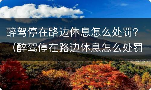 醉驾停在路边休息怎么处罚？（醉驾停在路边休息怎么处罚）