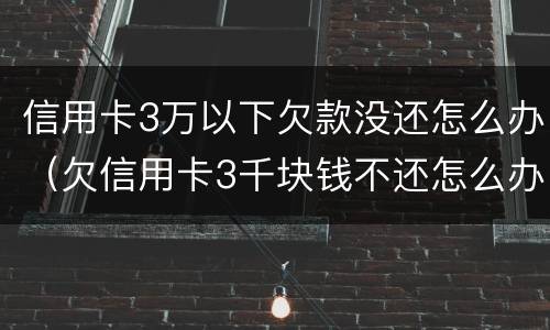 信用卡3万以下欠款没还怎么办（欠信用卡3千块钱不还怎么办）