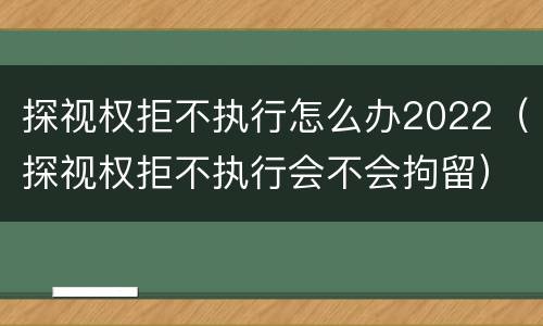 探视权拒不执行怎么办2022（探视权拒不执行会不会拘留）