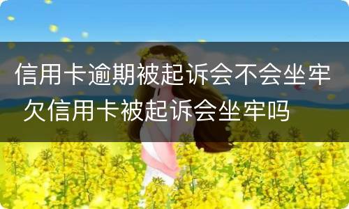 信用卡逾期被起诉会不会坐牢 欠信用卡被起诉会坐牢吗