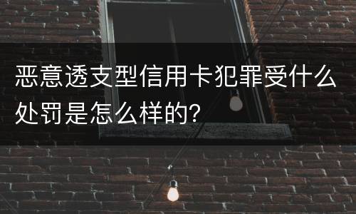 恶意透支型信用卡犯罪受什么处罚是怎么样的？