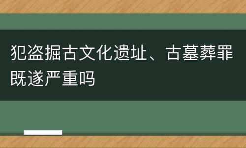 犯盗掘古文化遗址、古墓葬罪既遂严重吗