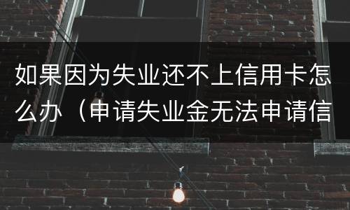 如果因为失业还不上信用卡怎么办（申请失业金无法申请信用卡）
