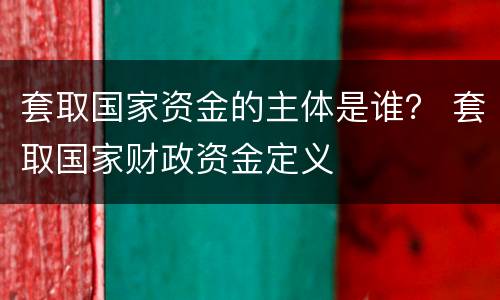 套取国家资金的主体是谁？ 套取国家财政资金定义