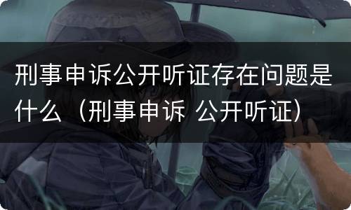 刑事申诉公开听证存在问题是什么（刑事申诉 公开听证）
