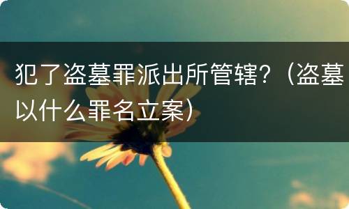 犯了盗墓罪派出所管辖?（盗墓以什么罪名立案）