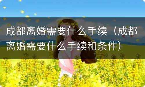成都离婚需要什么手续（成都离婚需要什么手续和条件）