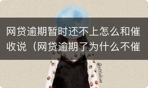 网贷逾期暂时还不上怎么和催收说（网贷逾期了为什么不催收了）