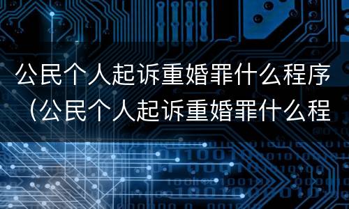 公民个人起诉重婚罪什么程序（公民个人起诉重婚罪什么程序啊）