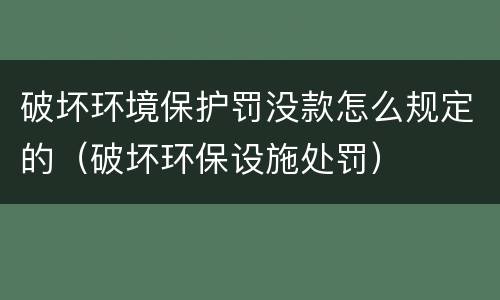 破坏环境保护罚没款怎么规定的（破坏环保设施处罚）