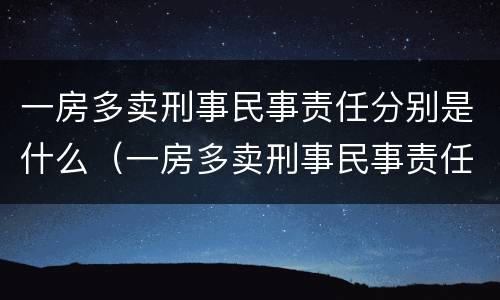 一房多卖刑事民事责任分别是什么（一房多卖刑事民事责任分别是什么意思）