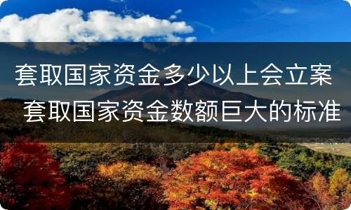 套取国家资金多少以上会立案 套取国家资金数额巨大的标准
