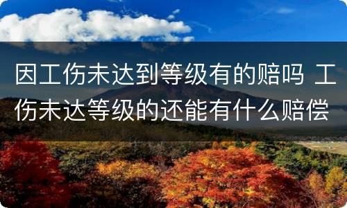 因工伤未达到等级有的赔吗 工伤未达等级的还能有什么赔偿