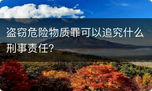 盗窃危险物质罪可以追究什么刑事责任？