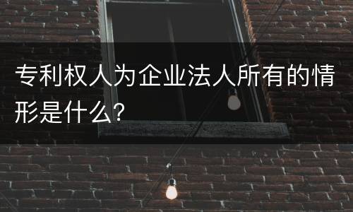 专利权人为企业法人所有的情形是什么？