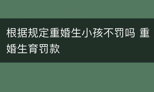 根据规定重婚生小孩不罚吗 重婚生育罚款
