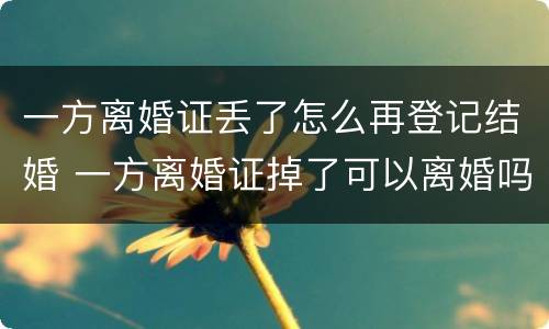 一方离婚证丢了怎么再登记结婚 一方离婚证掉了可以离婚吗