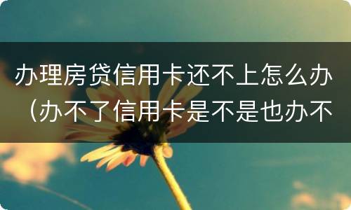 办理房贷信用卡还不上怎么办（办不了信用卡是不是也办不了房贷）