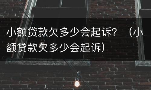 小额贷款欠多少会起诉？（小额贷款欠多少会起诉）