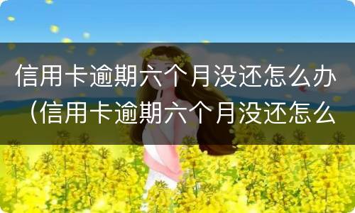信用卡逾期六个月没还怎么办（信用卡逾期六个月没还怎么办理）