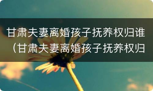 甘肃夫妻离婚孩子抚养权归谁（甘肃夫妻离婚孩子抚养权归谁抚养）