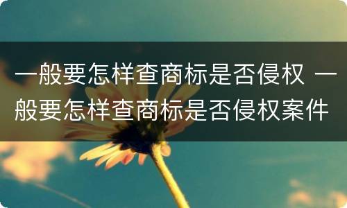 一般要怎样查商标是否侵权 一般要怎样查商标是否侵权案件