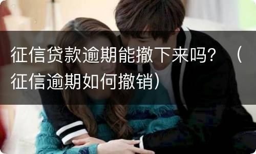 征信贷款逾期能撤下来吗？（征信逾期如何撤销）