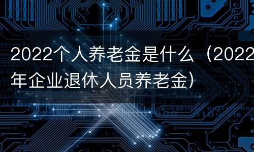 2022个人养老金是什么（2022年企业退休人员养老金）