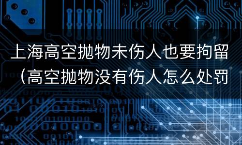 上海高空抛物未伤人也要拘留（高空抛物没有伤人怎么处罚 上海）