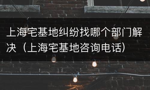 上海宅基地纠纷找哪个部门解决（上海宅基地咨询电话）