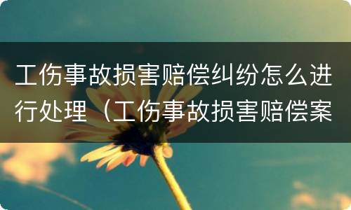 工伤事故损害赔偿纠纷怎么进行处理（工伤事故损害赔偿案由）