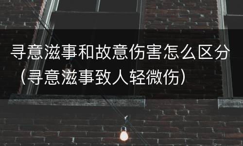 寻意滋事和故意伤害怎么区分（寻意滋事致人轻微伤）