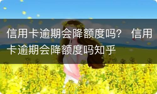 信用卡逾期会降额度吗？ 信用卡逾期会降额度吗知乎