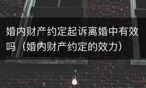 婚内财产约定起诉离婚中有效吗（婚内财产约定的效力）