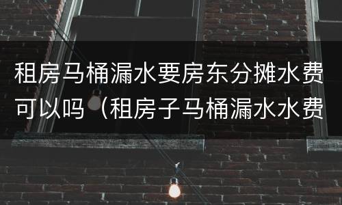 租房马桶漏水要房东分摊水费可以吗（租房子马桶漏水水费房东应该承担吗）