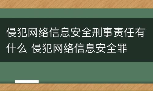 侵犯网络信息安全刑事责任有什么 侵犯网络信息安全罪