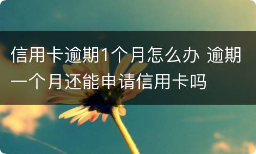 信用卡逾期1个月怎么办 逾期一个月还能申请信用卡吗