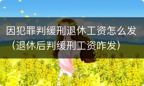 因犯罪判缓刑退休工资怎么发（退休后判缓刑工资咋发）