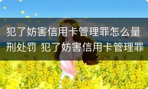 犯了妨害信用卡管理罪怎么量刑处罚 犯了妨害信用卡管理罪怎么量刑处罚多少钱