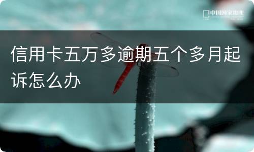 信用卡五万多逾期五个多月起诉怎么办
